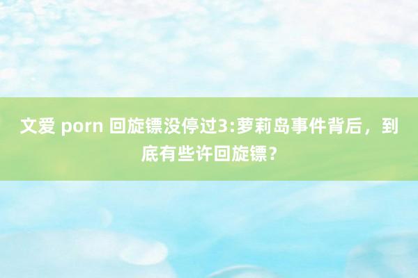 文爱 porn 回旋镖没停过3:萝莉岛事件背后，到底有些许回旋镖？