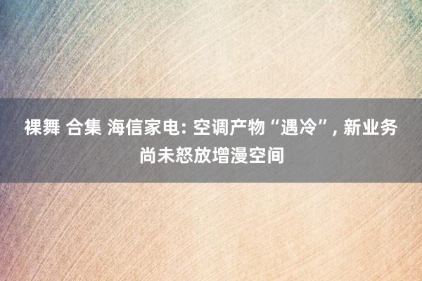 裸舞 合集 海信家电: 空调产物“遇冷”， 新业务尚未怒放增漫空间
