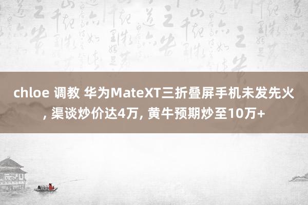chloe 调教 华为MateXT三折叠屏手机未发先火， 渠谈炒价达4万， 黄牛预期炒至10万+