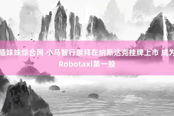 插妹妹综合网 小马智行崇拜在纳斯达克挂牌上市 成为Robotaxi第一股