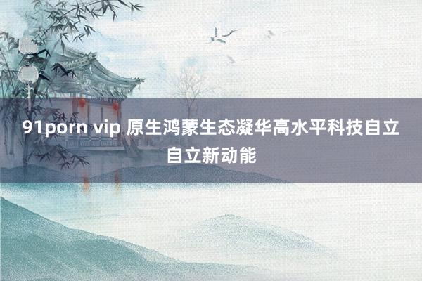 91porn vip 原生鸿蒙生态凝华高水平科技自立自立新动能