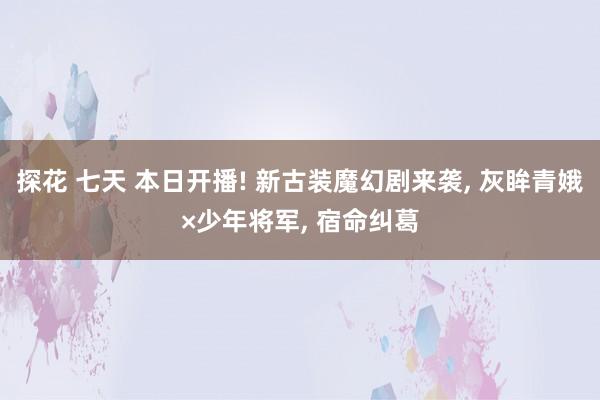 探花 七天 本日开播! 新古装魔幻剧来袭， 灰眸青娥×少年将军， 宿命纠葛